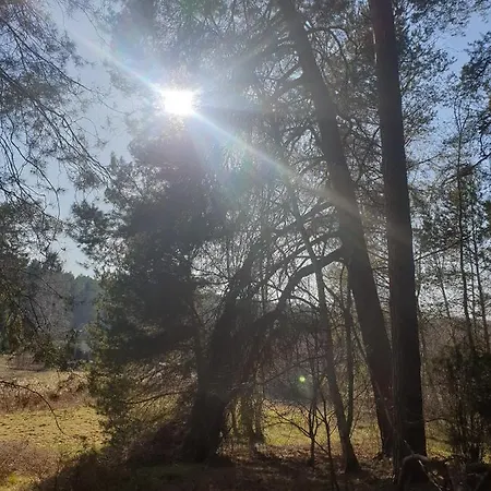 Stara Lesniczowka * Polnica