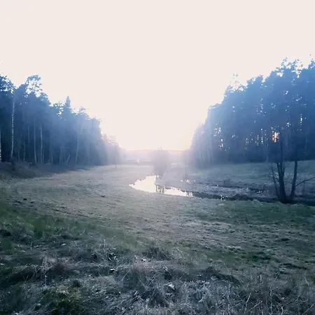 Stara Lesniczowka *