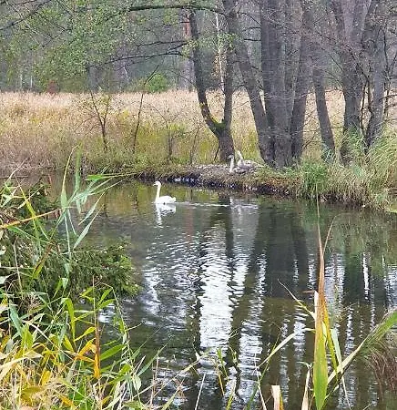 Stara Lesniczowka